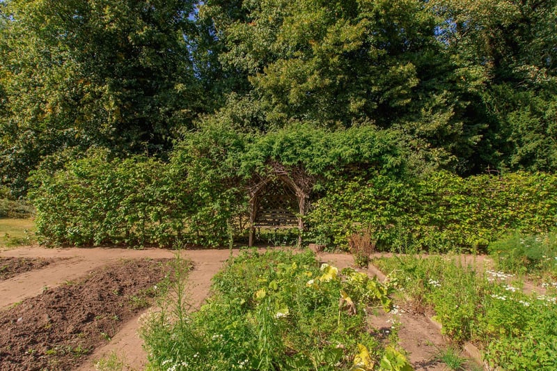 Grow your own vegetables in the beautiful garden.