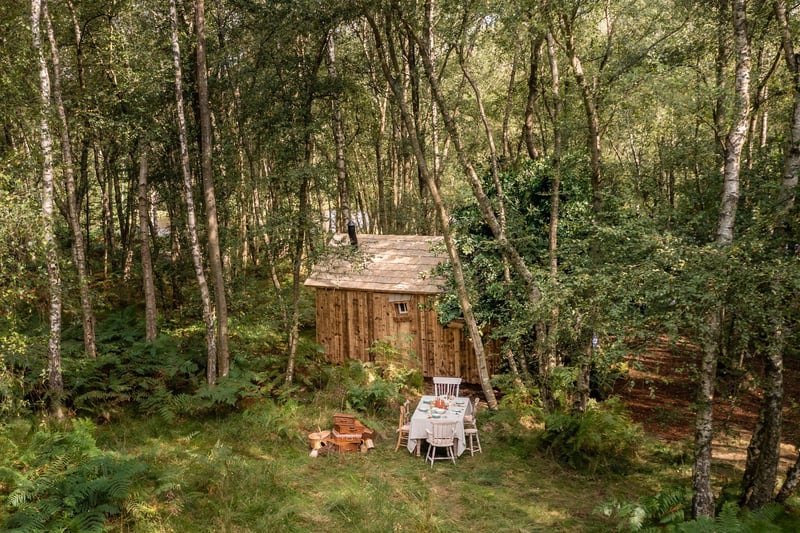 The Winnie the Pooh inspired house is in the forest and includes an adorable picnic area. By Henry Woide