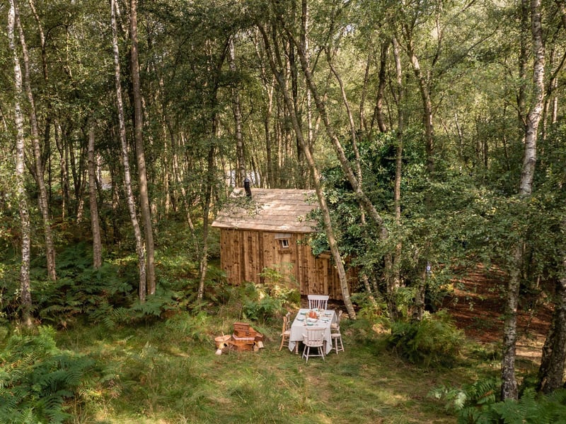 The Winnie the Pooh inspired house is in the forest and includes an adorable picnic area. By Henry Woide