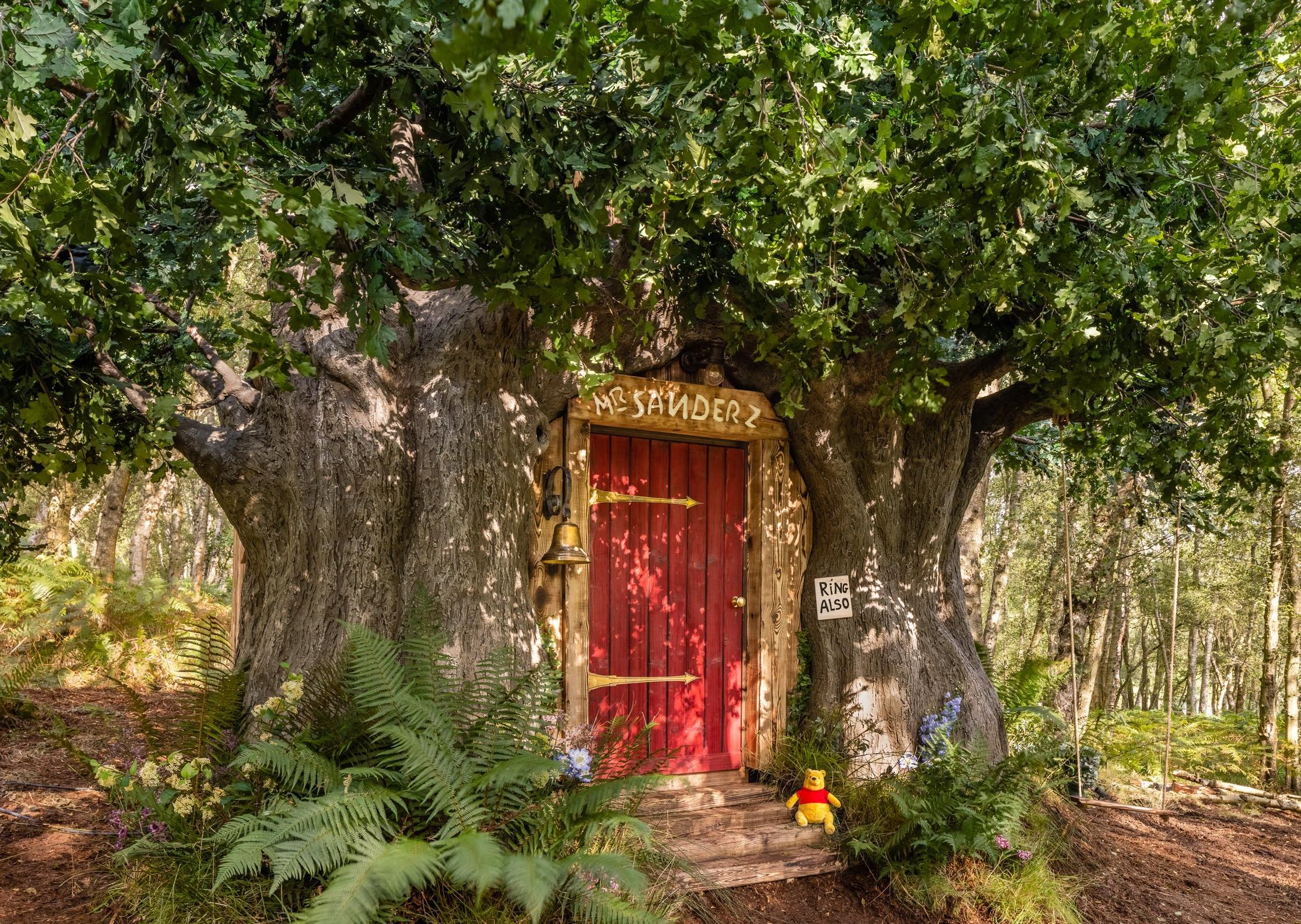 A Winnie the Pooh inspired house in Ashdown Forest, the original Hundred Acre Wood, is available to book on Airbnb as part of Disney's 95th Anniversary celebrations. By Henry Woide
