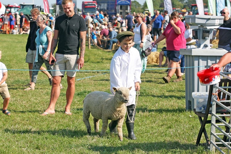 The event featured cattle and sheep shows