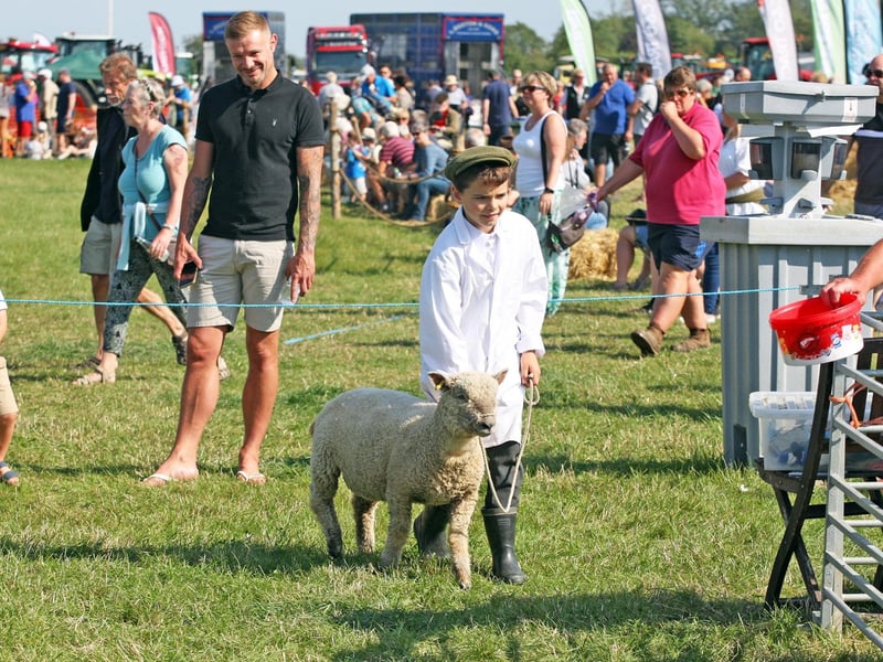 The event featured cattle and sheep shows