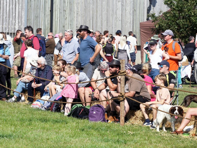 Crowds enjoying the displays