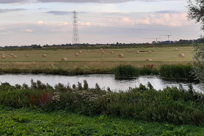On the riverside cycle path towards Whittlesey - from Esme Johnson