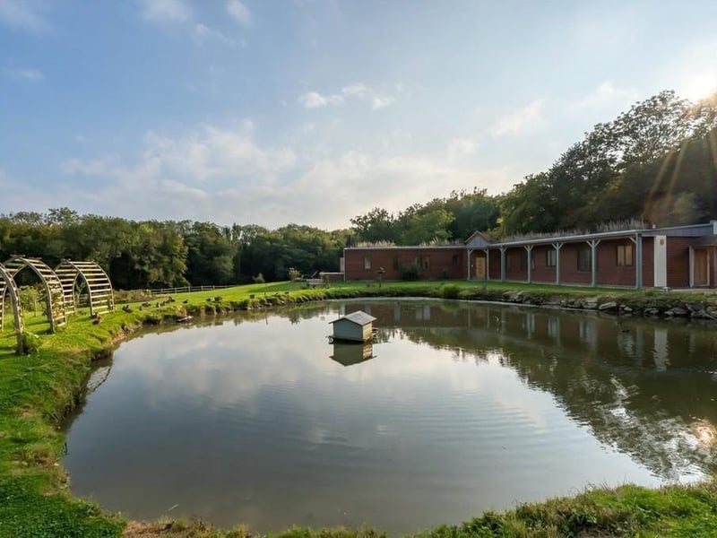 Hailsham eco-bungalow and smallhold, from Zoopla