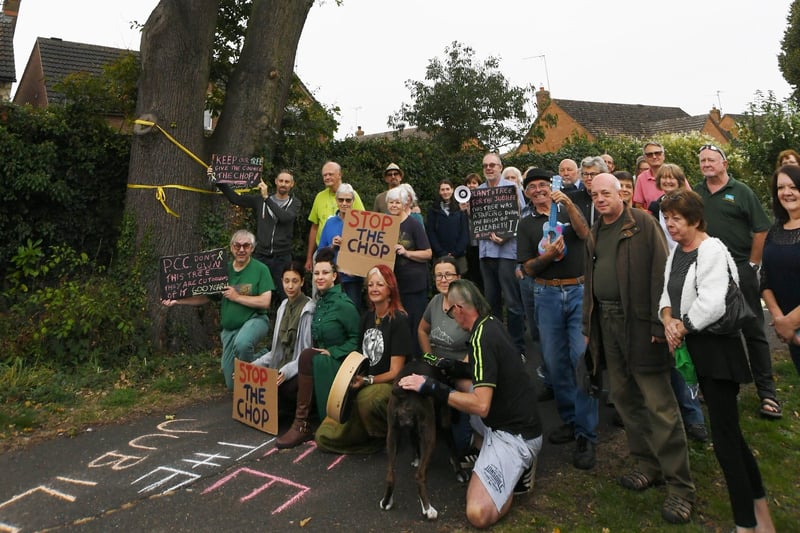 Oak tree protesters at Ringwood. Pictures: David Lowndes