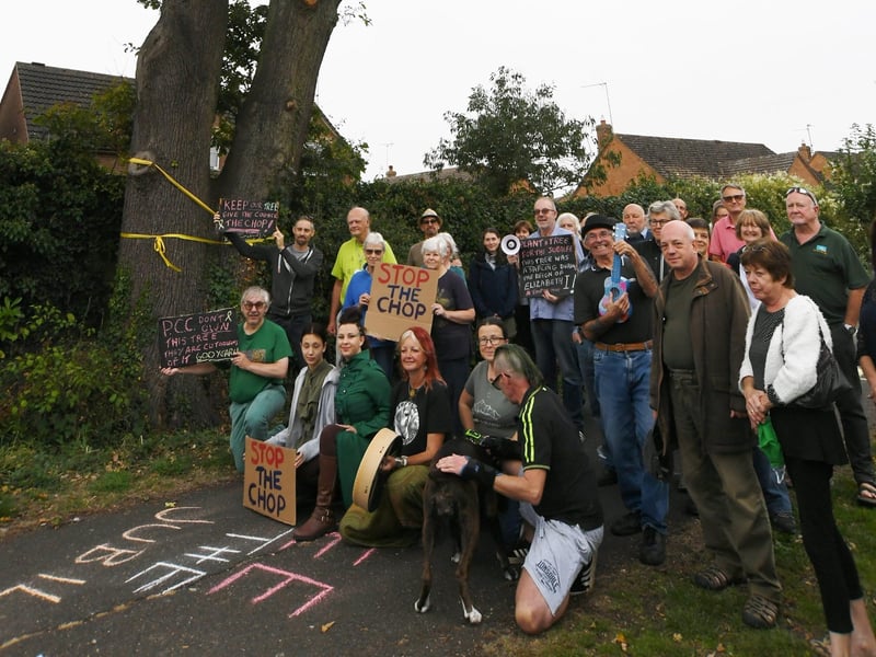 Oak tree protesters at Ringwood. Pictures: David Lowndes