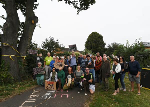 The Oak tree protest at Ringwood. Pictures: David Lowndes