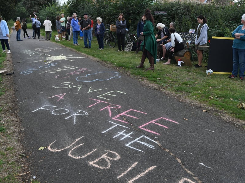 Oak tree protesters at Ringwood. Pictures: David Lowndes