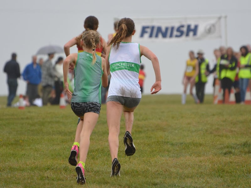 Action from the Sussex cross-country relays at Goodwood / Picture: Lee Hollyer