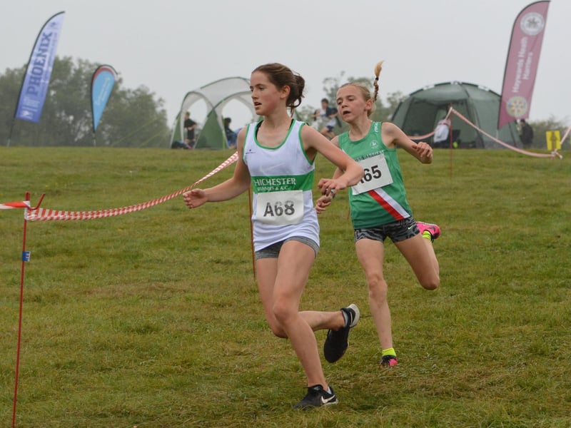 Action from the Sussex cross-country relays at Goodwood / Picture: Lee Hollyer