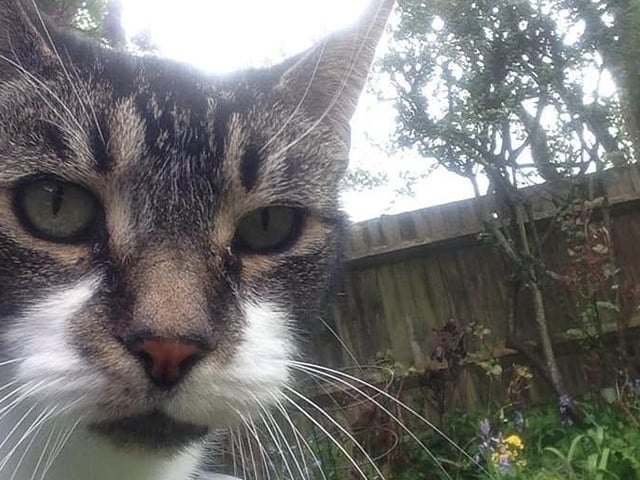 Carole Wells shared her photo of 14-year-old Ellie enjoying the garden SUS-210929-141938001