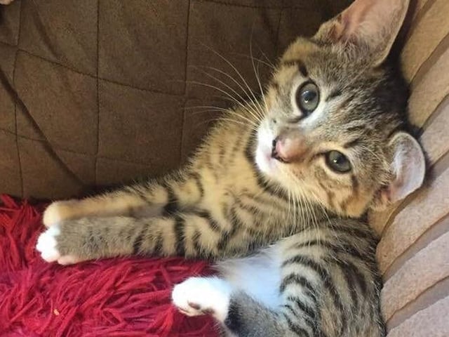 Nikki Murphy sent us this adorable photo SUS-210929-142143001