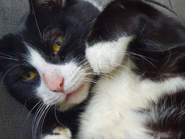 Kayleigh Powell writes: "Just look how squidgy he is!" SUS-210929-142314001