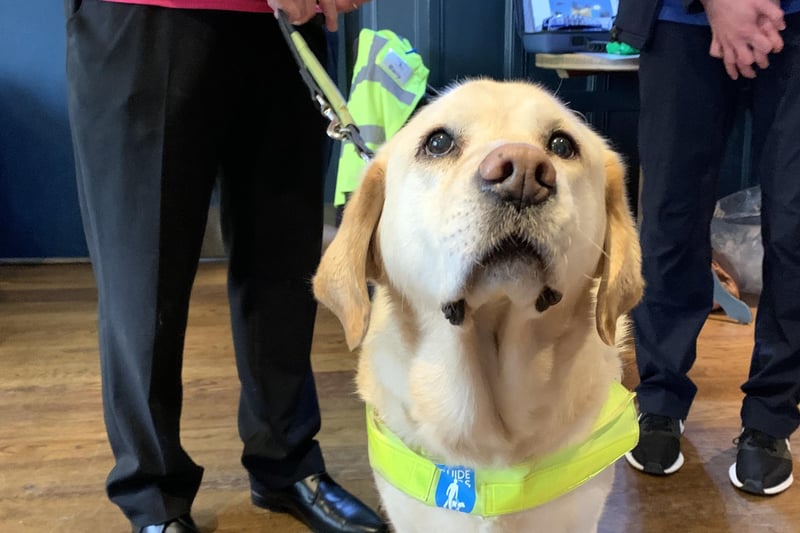 A gentleman with who is visually impaired brought his guide dog with him to the event
