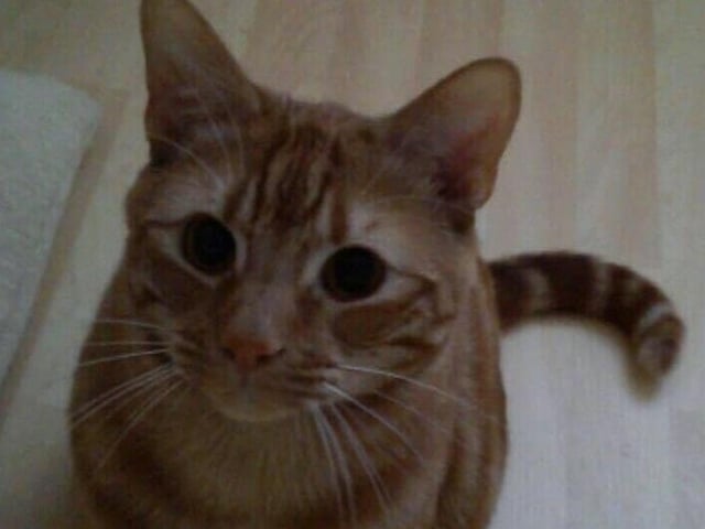 Jane Tharby shared this pictureof Finn SUS-210929-154439001