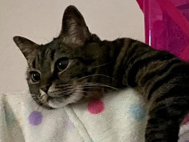 Lea looks chilled out in this picture, by Jane Tharby SUS-210929-154509001