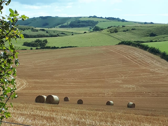 Harvest time at Folkington, by Alison Cushing. SUS-210510-102602001