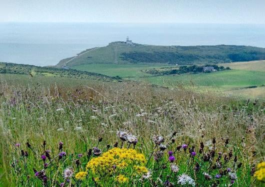 Beachy Head towards Belle Toute, four stacked images. By Ralph Davies. SUS-210510-104435001