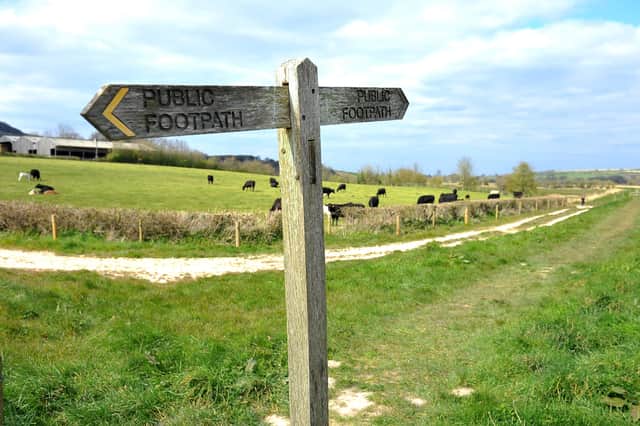 Arundel Park, a great place to explore. Picture: Steve Robards SR2004051