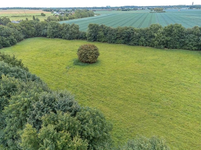 An aerial view of the paddock.