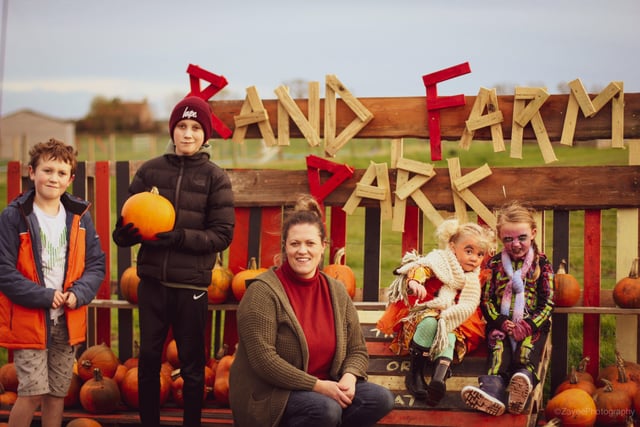 Rand Farm Park's Halloween pumpkin festival. EMN-210710-114701001