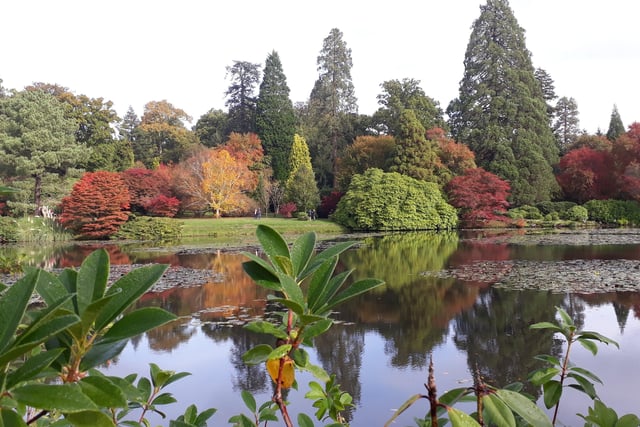 The National Trust's Sheffield Park is a 40 minute drive from Eastbourne and has some of the most spectacular autumn scenes you will see in the country. There are often trails and activities for the children and picnic areas so you can make a day of it.