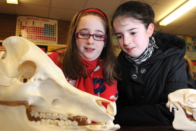 Emma and Sarah Elder check out this skeleton head during the Open Night at St. Patrick's College, Maghera.mm03-131ar.