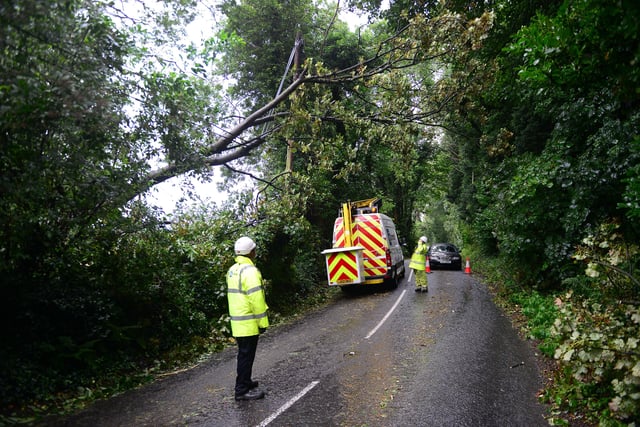 The Ballyhanwood Road in Dundonald is closed between Old Dundonald Road and Gilnahirk Road because of a fallen tree.