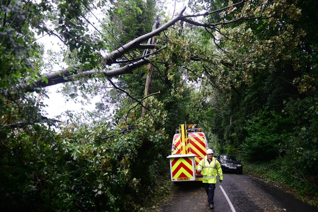 .
The Ballyhanwood Road in Dundonald is closed between Old Dundonald Road and Gilnahirk Road because of a fallen tree.