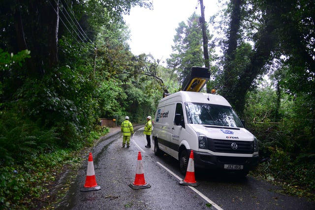 Storm Francis brings fresh weather warnings to NI.
The Ballyhanwood Road in Dundonald is closed between Old Dundonald Road and Gilnahirk Road because of a fallen tree.