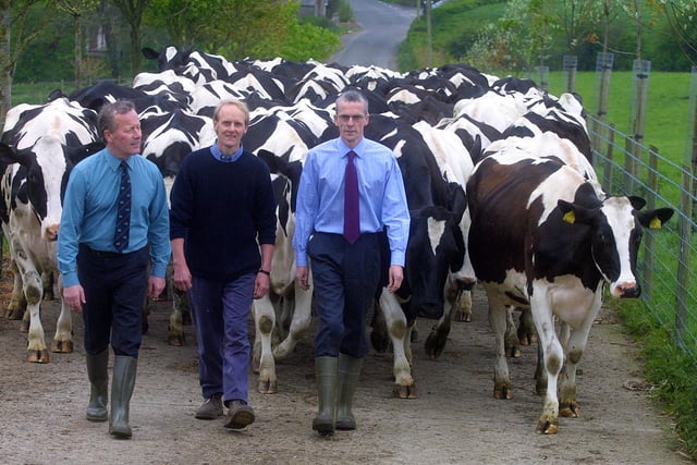 Bringing in the Ballygowan Herd in May 2002 is Beattie Lilburn, grassland farmer of the year, with Will Taylor, Ulster Grassland Society president and John Henning, sponsor, Northern Bank. Picture Kevin McAuley/Farming Life archives