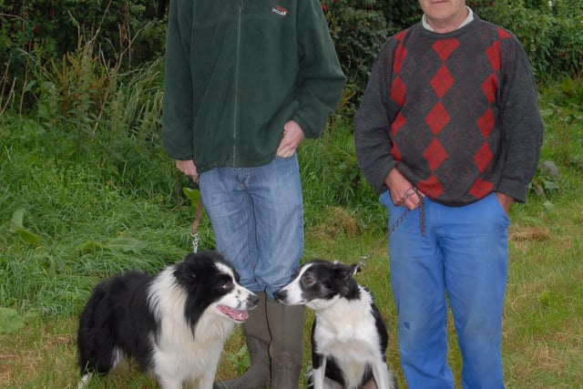 Michael Gallagher and Cap and Gordon Montgomery with Flo at the Cairncastle Sheepdog Trials in September 2007. Picture: Larne Times archives