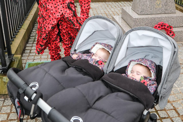 Eight month old twins Abigail and Arabella Glen. Pic by Norman Briggs, rnbphotographyni
