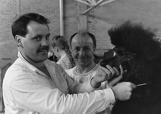 Kasis, the Standard Poodle, got the brush-off in a nice way from owners Paul Bradley of Sheffield and Eric Harrington of Rotherham at the Belfast dog championships at Balmoral in October 1989. Picture: News Letter archives