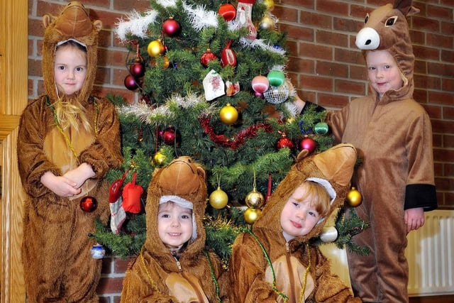 The camels ( Poppy, Rhianna and Megan) and donkey ( Sophie) dress the Christmas Tree for Rainbow Preschool Group's nativity performance for parents and friends in Dromore.