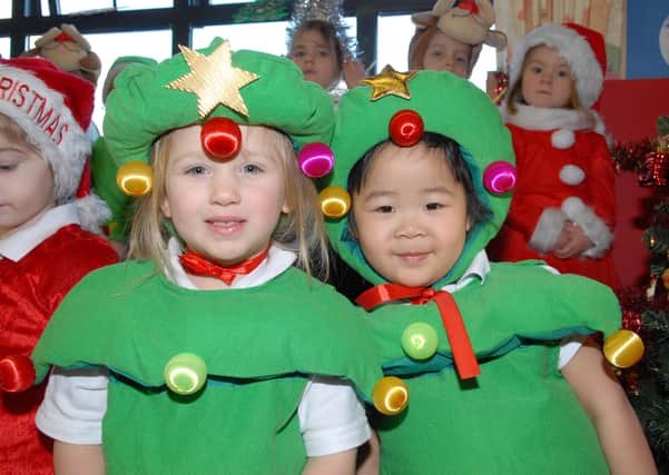 Two little Christmas trees at the Moyle Nursery Nativity