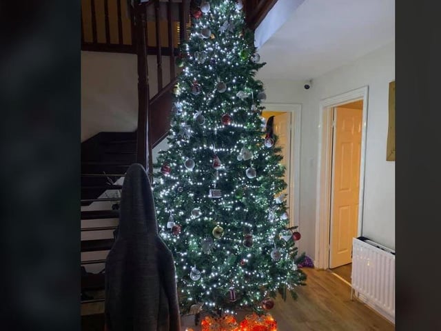 Amy Murray - 10ft so I couldn't fir the top in