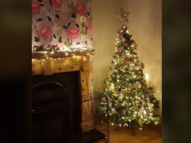 Lesley Buchannan - Ours been up since start November