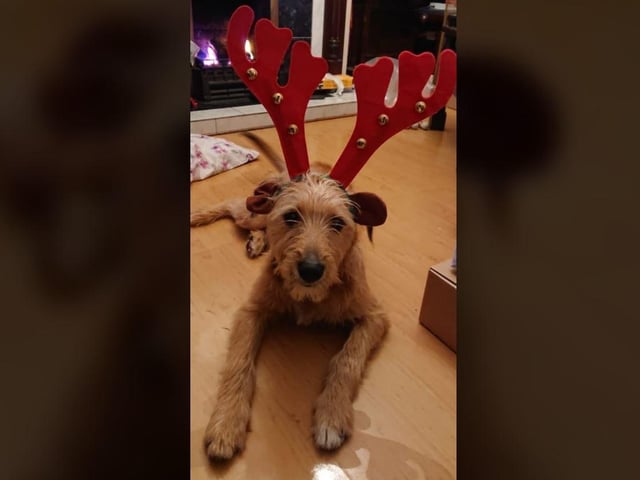 Rosie Cox - Speckle. She got a lot of treats for this photo