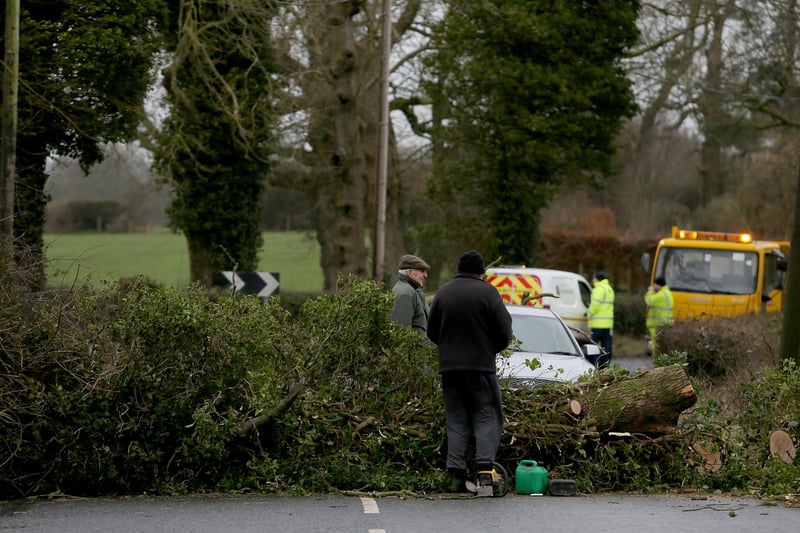PACEMAKER PRESS BELFAST
14/2/2021
A fallen tree on the Innisloughlin Road, Moira, after a night of strong winds and rain. A yellow weather warning had been issued across parts of the province.
Photo Pacemaker Press