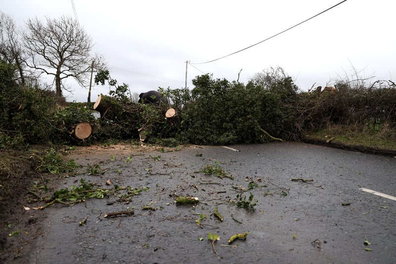 PACEMAKER PRESS BELFAST
14/2/2021
A fallen tree on the Innisloughlin Road, Moira, after a night of strong winds and rain. A yellow weather warning had been issued across parts of the province.
Photo Pacemaker Press