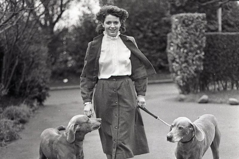 Ulster Television presenter Rose Neill relaxes with her Weimaraner German gundogs Linus and Burgo along the Marine walk beside Bangor Bay, after the hustle and bustle of the television studio in February 1982. Picture: News Letter archives