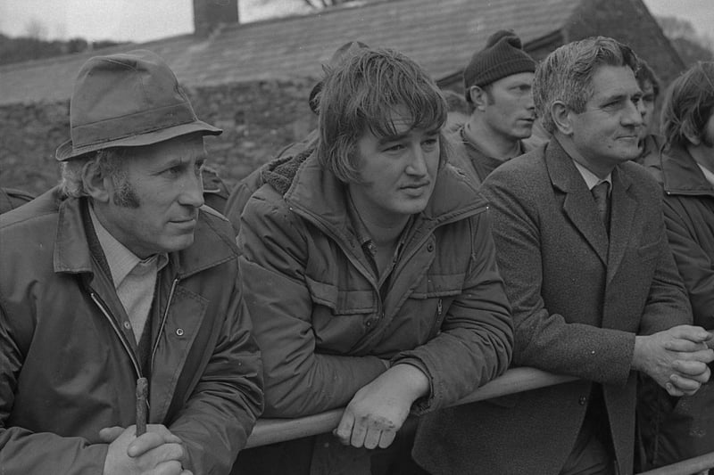 Looking over the stock at Castle Ward, Co Down, in February 1982 are Milo Piekaar, Killinchy, Ken Gracey, Tandragee, and Ivan McCammond, Templepatrick. Picture: Trevor Dickson/Farming Life archives