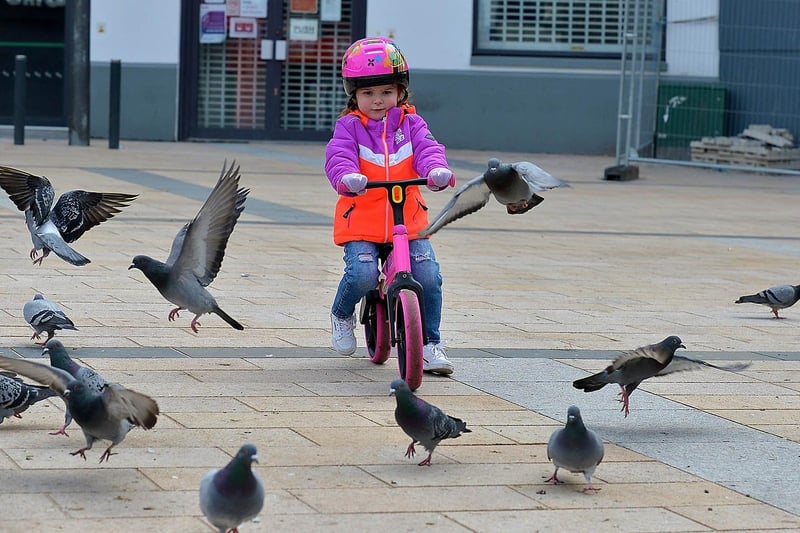 Méabh McKee, aged 3, among the pigeons in Waterloo Place. Photo: George Sweeney. DER2110GS - 001
