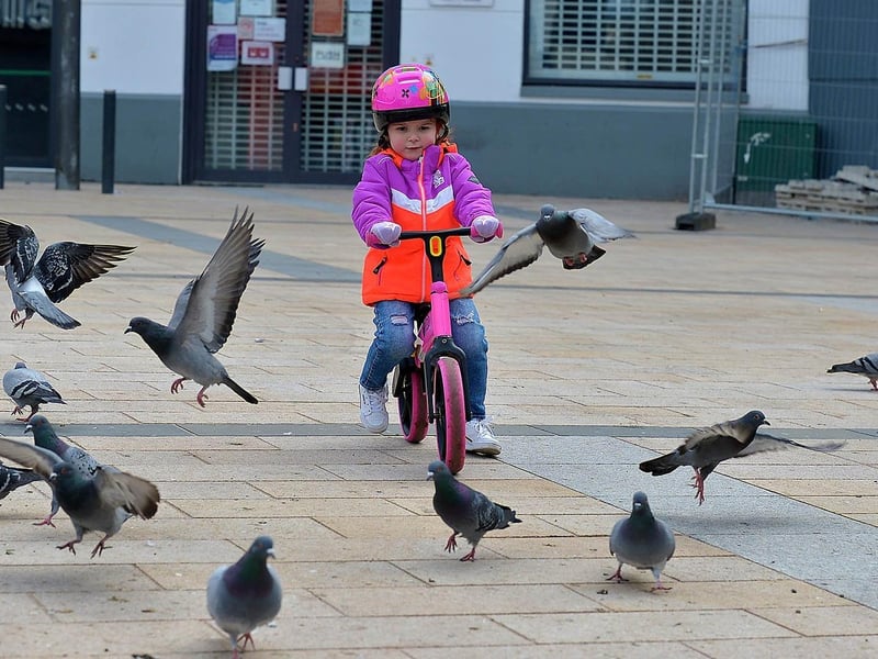 Méabh McKee, aged 3, among the pigeons in Waterloo Place. Photo: George Sweeney. DER2110GS - 001