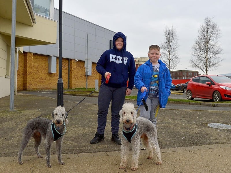 Jake and Junior Leighton exercise their Bedlington Terriers Diesel and Blade along Queen’s Quay recently. DER2109GS – 008