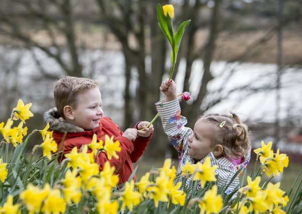 Spring Fair, Ballymoney, April 10 - 11
Ballymoney Spring Fair, organised by Causeway Coast and Glens Borough Council, features a range of free attractions, including a family fun day, artisan market, vintage vehicle cavalcade and carnival parade filled with the colours of the season.