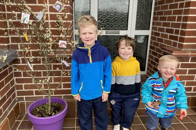 Finn (7) Archie (5) Joe (2) - with their Rainbow Tree.... they add a rainbow each day for being one day closer to normality