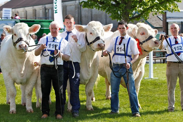 The top group of Three Charolais at Balmoral Show were owned by Gilbert Crawford, Maghera and exhibited here by Andrew Patterson, Kyle Irwin, Philip McKendry and Sam Miliken.